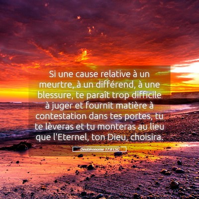 Picture 05 - Deutéronome 17:8 LSG - Si une cause relative à un meurtre, à un - Bible Verse Picture