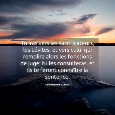 Picture 05 - Deutéronome 17:9 LSG - Tu iras vers les sacrificateurs, les Lévites, et - Bible Verse Picture