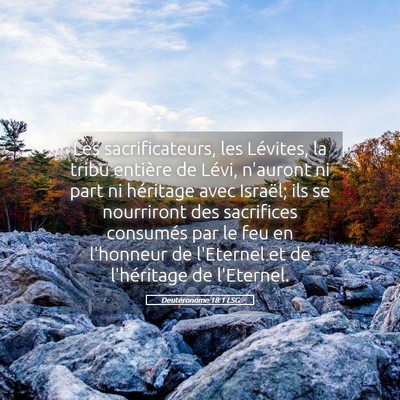 Picture 05 - Deutéronome 18:1 LSG - Les sacrificateurs, les Lévites, la tribu - Bible Verse Picture