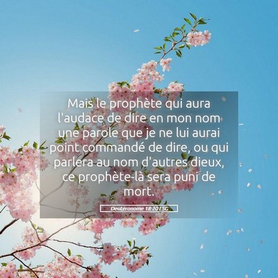 Picture 05 - Deutéronome 18:20 LSG - Mais le prophète qui aura l'audace de dire en - Bible Verse Picture