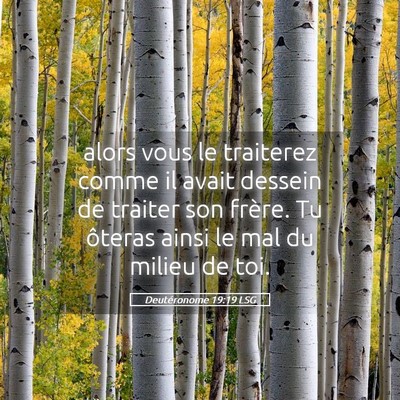 Picture 05 - Deutéronome 19:19 LSG - alors vous le traiterez comme il avait dessein de - Bible Verse Picture
