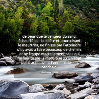 Picture 05 - Deutéronome 19:6 LSG - de peur que le vengeur du sang, échauffé par la - Bible Verse Picture