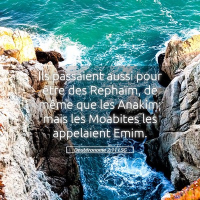 Picture 05 - Deutéronome 2:11 LSG - Ils passaient aussi pour être des Rephaïm, de - Bible Verse Picture