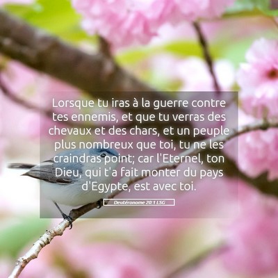 Picture 05 - Deutéronome 20:1 LSG - Lorsque tu iras à la guerre contre tes ennemis, - Bible Verse Picture