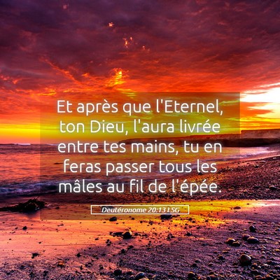 Picture 05 - Deutéronome 20:13 LSG - Et après que l'Eternel, ton Dieu, l'aura livrée - Bible Verse Picture