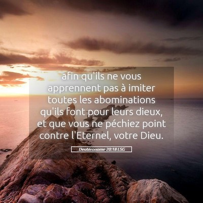 Picture 05 - Deutéronome 20:18 LSG - afin qu'ils ne vous apprennent pas à imiter - Bible Verse Picture