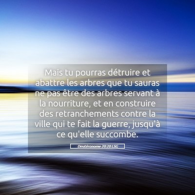 Picture 05 - Deutéronome 20:20 LSG - Mais tu pourras détruire et abattre les arbres - Bible Verse Picture