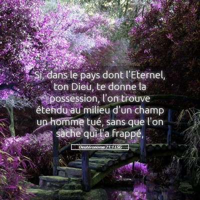 Picture 05 - Deutéronome 21:1 LSG - Si, dans le pays dont l'Eternel, ton Dieu, te - Bible Verse Picture
