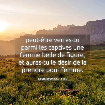 Picture 05 - Deutéronome 21:11 LSG - peut-être verras-tu parmi les captives une femme - Bible Verse Picture