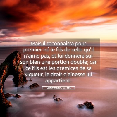 Picture 05 - Deutéronome 21:17 LSG - Mais il reconnaîtra pour premier-né le fils de - Bible Verse Picture