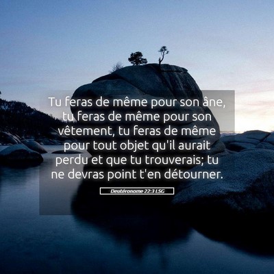 Picture 05 - Deutéronome 22:3 LSG - Tu feras de même pour son âne, tu feras de - Bible Verse Picture