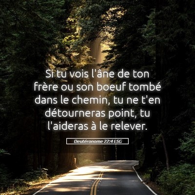 Picture 05 - Deutéronome 22:4 LSG - Si tu vois l'âne de ton frère ou son boeuf - Bible Verse Picture