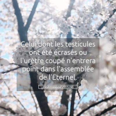 Picture 05 - Deutéronome 23:1 LSG - Celui dont les testicules ont été écrasés ou - Bible Verse Picture