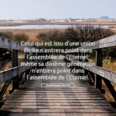 Picture 05 - Deutéronome 23:2 LSG - Celui qui est issu d'une union illicite n'entrera - Bible Verse Picture