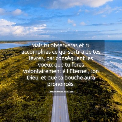 Picture 05 - Deutéronome 23:23 LSG - Mais tu observeras et tu accompliras ce qui - Bible Verse Picture