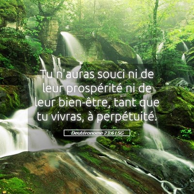 Picture 05 - Deutéronome 23:6 LSG - Tu n'auras souci ni de leur prospérité ni de - Bible Verse Picture