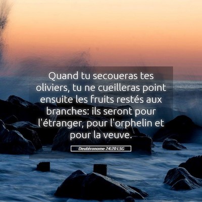 Picture 05 - Deutéronome 24:20 LSG - Quand tu secoueras tes oliviers, tu ne cueilleras - Bible Verse Picture