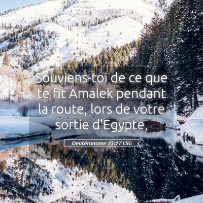 Picture 05 - Deutéronome 25:17 LSG - Souviens-toi de ce que te fit Amalek pendant la - Bible Verse Picture