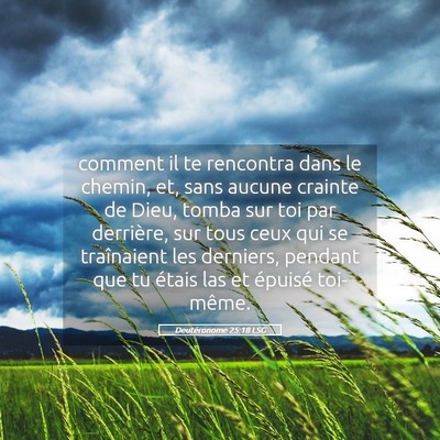 Picture 05 - Deutéronome 25:18 LSG - comment il te rencontra dans le chemin, et, sans - Bible Verse Picture