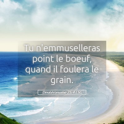 Picture 05 - Deutéronome 25:4 LSG - Tu n'emmuselleras point le boeuf, quand il - Bible Verse Picture