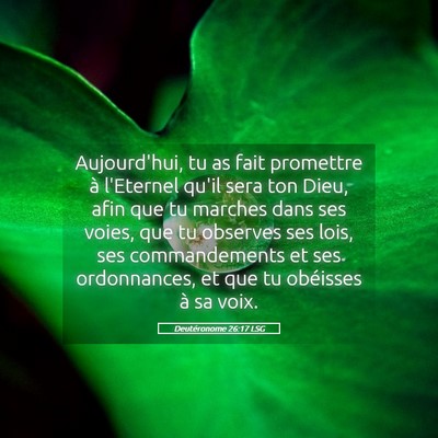 Picture 05 - Deutéronome 26:17 LSG - Aujourd'hui, tu as fait promettre à l'Eternel - Bible Verse Picture