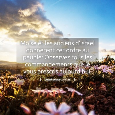 Picture 05 - Deutéronome 27:1 LSG - Moïse et les anciens d'Israël donnèrent cet - Bible Verse Picture