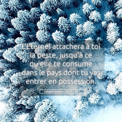 Picture 05 - Deutéronome 28:21 LSG - L'Eternel attachera à toi la peste, jusqu'à ce - Bible Verse Picture