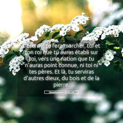 Picture 05 - Deutéronome 28:36 LSG - L'Eternel te fera marcher, toi et ton roi que tu - Bible Verse Picture