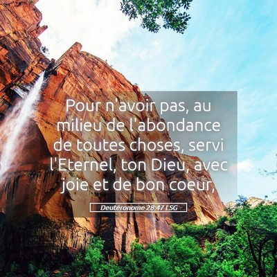 Picture 05 - Deutéronome 28:47 LSG - Pour n'avoir pas, au milieu de l'abondance de - Bible Verse Picture