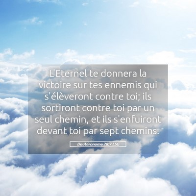 Picture 05 - Deutéronome 28:7 LSG - L'Eternel te donnera la victoire sur tes ennemis - Bible Verse Picture