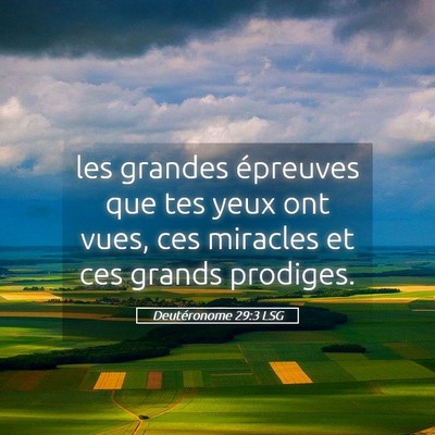 Picture 05 - Deutéronome 29:3 LSG - les grandes épreuves que tes yeux ont vues, ces - Bible Verse Picture