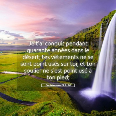 Picture 05 - Deutéronome 29:5 LSG - Je t'ai conduit pendant quarante années dans le - Bible Verse Picture