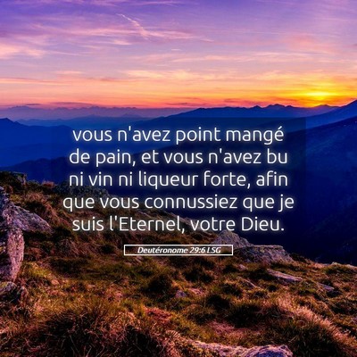 Picture 05 - Deutéronome 29:6 LSG - vous n'avez point mangé de pain, et vous n'avez - Bible Verse Picture