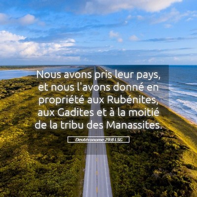 Picture 05 - Deutéronome 29:8 LSG - Nous avons pris leur pays, et nous l'avons donné - Bible Verse Picture