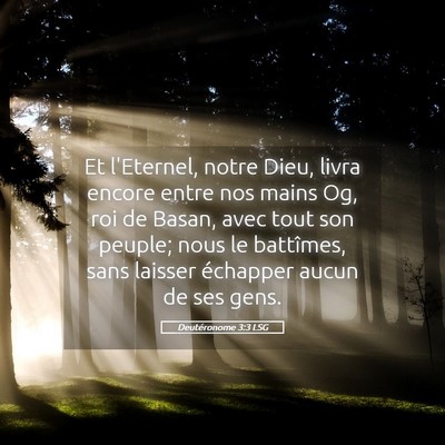 Picture 05 - Deutéronome 3:3 LSG - Et l'Eternel, notre Dieu, livra encore entre nos - Bible Verse Picture