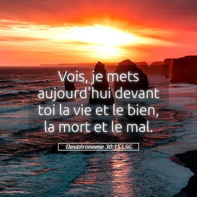 Picture 05 - Deutéronome 30:15 LSG - Vois, je mets aujourd'hui devant toi la vie et le - Bible Verse Picture