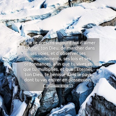 Picture 05 - Deutéronome 30:16 LSG - Car je te prescris aujourd'hui d'aimer l'Eternel, - Bible Verse Picture