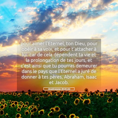 Picture 05 - Deutéronome 30:20 LSG - pour aimer l'Eternel, ton Dieu, pour obéir à sa - Bible Verse Picture
