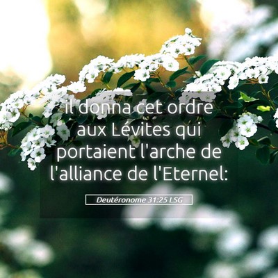 Picture 05 - Deutéronome 31:25 LSG - il donna cet ordre aux Lévites qui portaient - Bible Verse Picture
