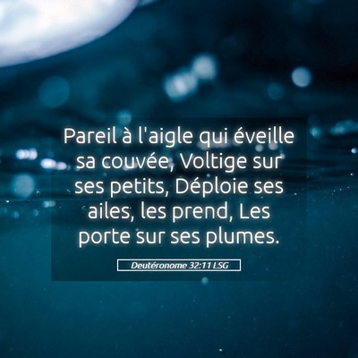 Picture 05 - Deutéronome 32:11 LSG - Pareil à l'aigle qui éveille sa couvée, - Bible Verse Picture
