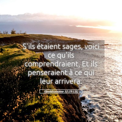 Picture 05 - Deutéronome 32:29 LSG - S'ils étaient sages, voici ce qu'ils - Bible Verse Picture