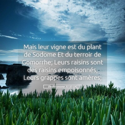 Picture 05 - Deutéronome 32:32 LSG - Mais leur vigne est du plant de Sodome Et du - Bible Verse Picture