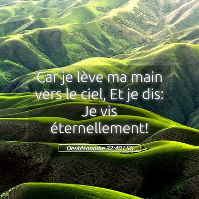 Picture 05 - Deutéronome 32:40 LSG - Car je lève ma main vers le ciel, Et je dis: Je - Bible Verse Picture