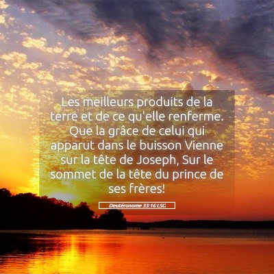 Picture 05 - Deutéronome 33:16 LSG - Les meilleurs produits de la terre et de ce - Bible Verse Picture