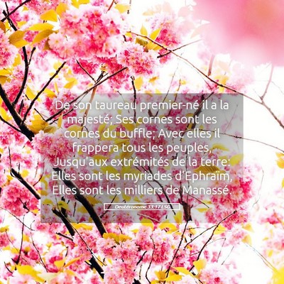 Picture 05 - Deutéronome 33:17 LSG - De son taureau premier-né il a la majesté; Ses - Bible Verse Picture