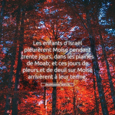 Picture 05 - Deutéronome 34:8 LSG - Les enfants d'Israël pleurèrent Moïse pendant - Bible Verse Picture