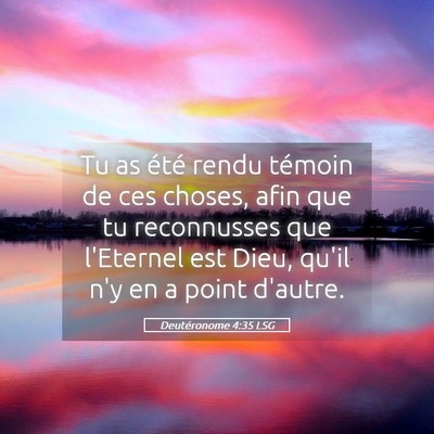Picture 05 - Deutéronome 4:35 LSG - Tu as été rendu témoin de ces choses, afin que - Bible Verse Picture