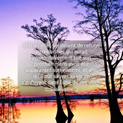 Picture 05 - Deutéronome 4:42 LSG - afin qu'elles servissent de refuge au meurtrier - Bible Verse Picture