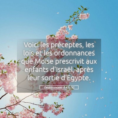 Picture 05 - Deutéronome 4:45 LSG - Voici les préceptes, les lois et les ordonnances - Bible Verse Picture
