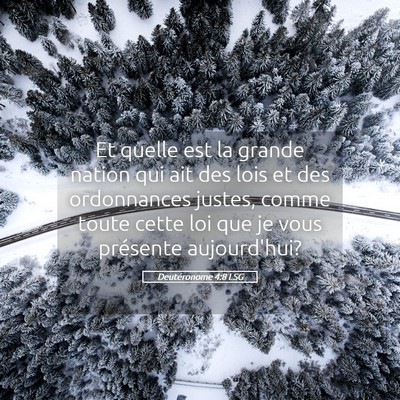 Picture 05 - Deutéronome 4:8 LSG - Et quelle est la grande nation qui ait des lois - Bible Verse Picture